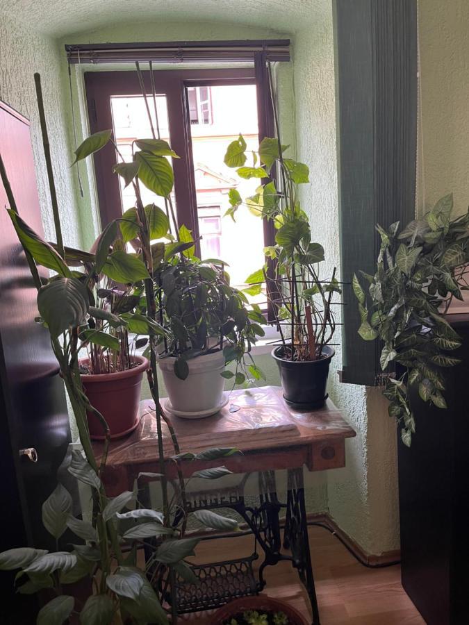 Appartement Apartman Lora à Rijeka Extérieur photo