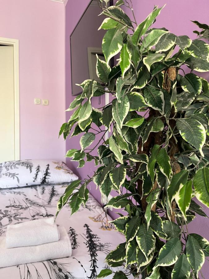 Appartement Apartman Lora à Rijeka Extérieur photo